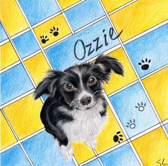 Dog portrait in colored pencil