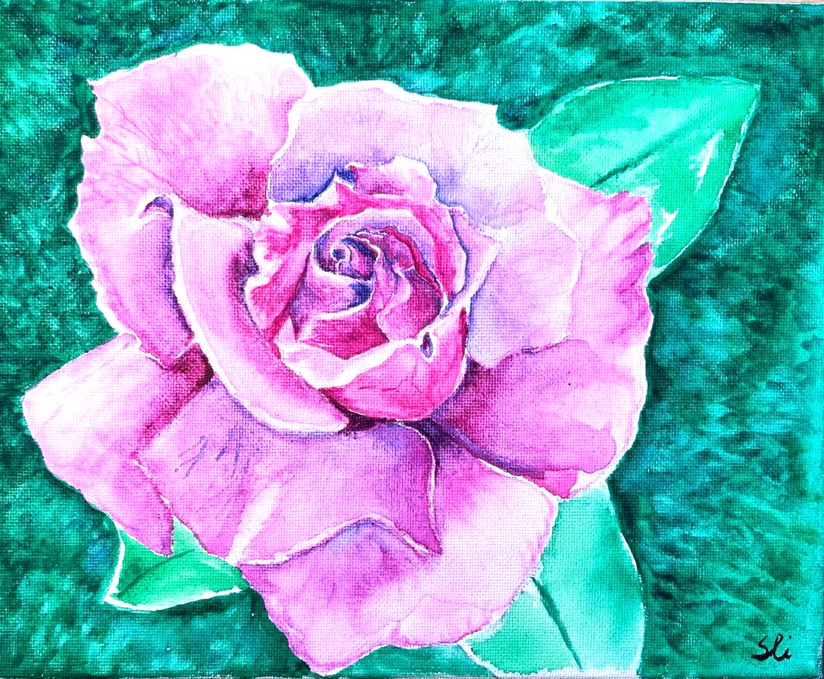 Pink rose painted in watercolor with dark green background