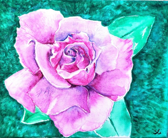 Pink rose painted in watercolor with dark green background
